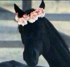 ما تخسر شي اذا دعيت ربي يديم لي عنود ✨ #الهلال سبحان الله وبحمده.
