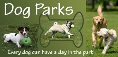 Wouldn't it be lovely to have an area in Naas where you can take your dog to play and run off the lead?