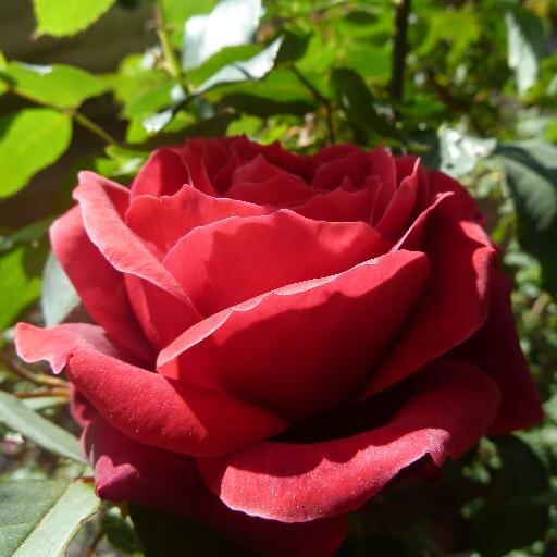Its Irene from Greece with varius interests and in love with photography. Follow me and Enjoy browsing!