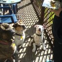 amy hitch - @AmyKushi - Twitter