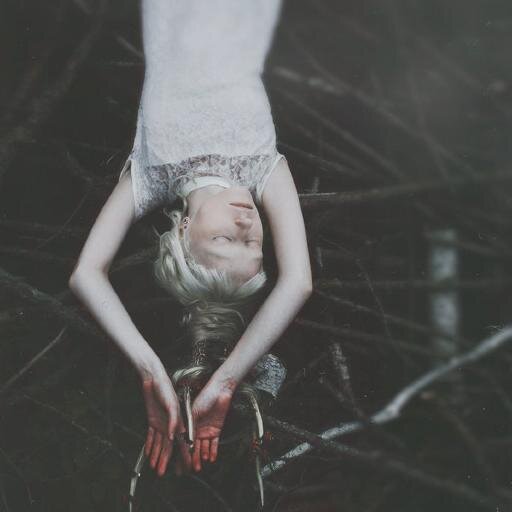 edenmemories's profile picture. Autrice - chef opératrice et monteuse vidéo auprès d'enfants autistes dans un IME - chroniqueuse pour Sueurs Froides - podcasteuse chez James et Faye universe