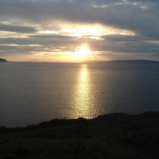 BlogDementia's profile picture. 25 year-old student blogging about dementia eMail: blog-dementia@outlook.com