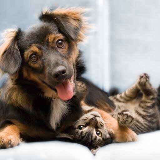 ianswinno's profile picture. Come and Join The Group