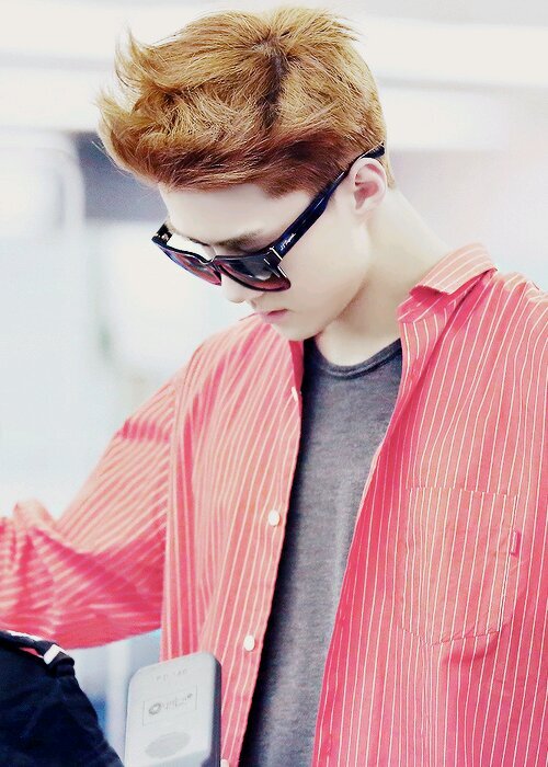 WILD UKE SINCE 1994 {igy;notstraight;Yaoistyle}