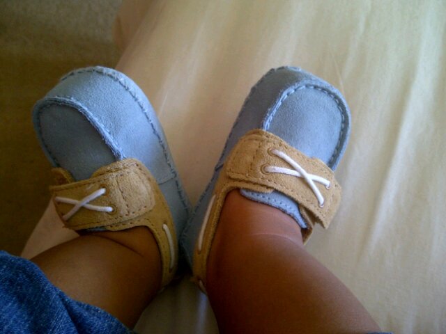 safsbhayat's profile picture. 