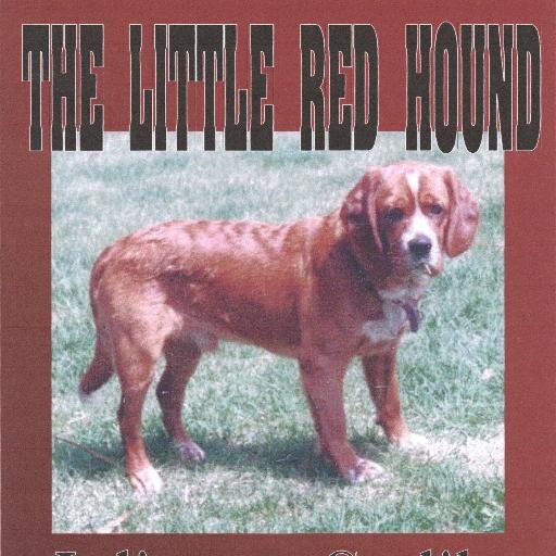 Can a mutt beat purebreds in a hunting competition without things getting nasty?   https://t.co/YZ89h7xYEb 
https://t.co/NHhE1jtW5g