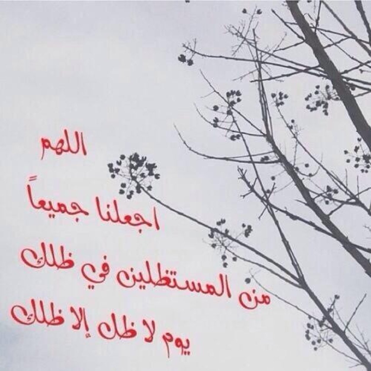 ‏ربما لا أجيد فن الڪــتابة وصياغة الأح’ـرف ولڪن سيڪون متنفسي هذا مزيج’ـاً من إقتباسات لروائع الڪلام وأجملہ وربما تجدون لأح’ـرفي مڪآنا بينها ..