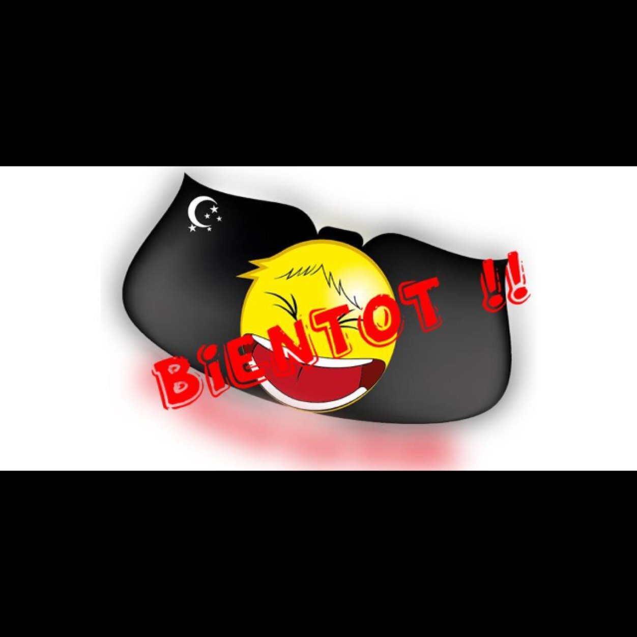 strasenrire's profile picture. STRAS'EN'RIRE 2014 les 4/5 juillet 2014 avec Jean-Marie BIGARD parrain de l'évènement. 2€ par place vendue seront reversé a l'association ADOT67.