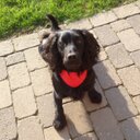 Caroline Birk - @carolineebirk - Twitter