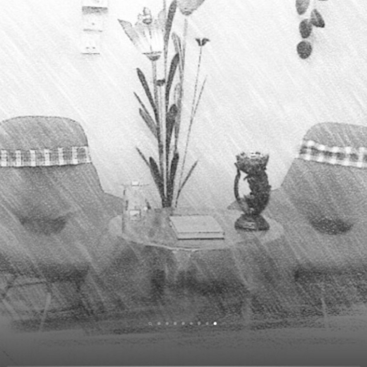 أَنا أُنثى رمادية تجزُم أن تبعثَ مِن الحياةِ حياة رغم تلاطُم أمواجُ هذه الحياةِ بها يمنة و يسرة~ أَنا أُنثى تعشقُ الهُدوء و تُفتشُ عنه بين أكوامِ الضَجيج الحالك