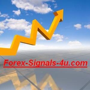 Forex Trader