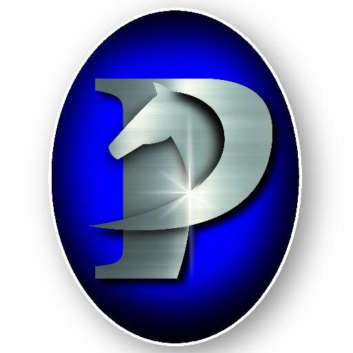 PrecisionJS's profile picture. Provider of Precision Joint Soultion that supports healthy joints & connective tissue. Precison Equiderm wound care stimulates cellular & tissue regrowth.