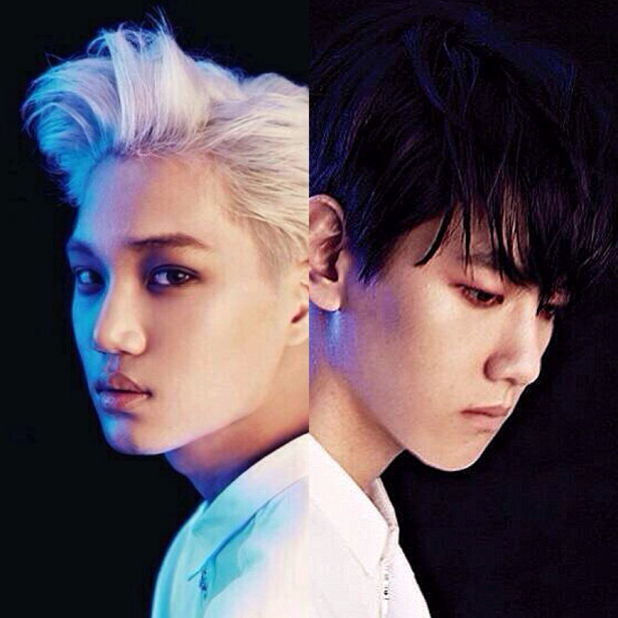 EXO-K 카이 김종인 & 변백현 ♥️