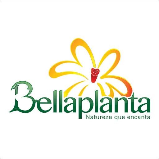 A Bellaplanta chega a Palmas para oferecer o que há de melhor no ramo da jardinagem e paisagismo.