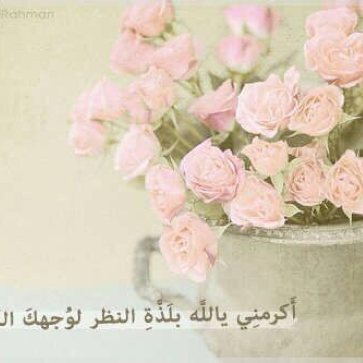 ربي أسألك رضاك والجنه،❤️،