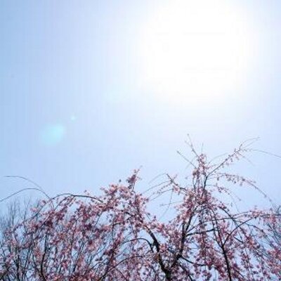脱毛キャンペーンbot