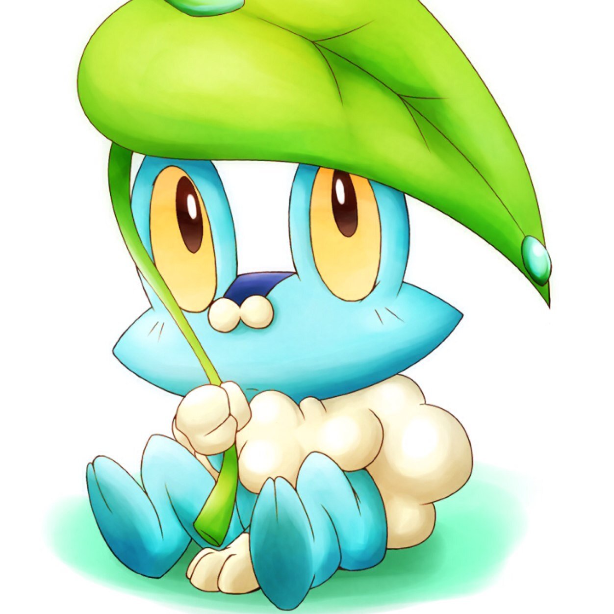 Froo, Froakie!! Froakie Froakie!! (I'm Froakie and I'm the new Kalos starter Pokemon for Ash!!) || #Male || #Single || Trainer: @Ash_kanto01
