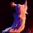 GraceBawden's profile image