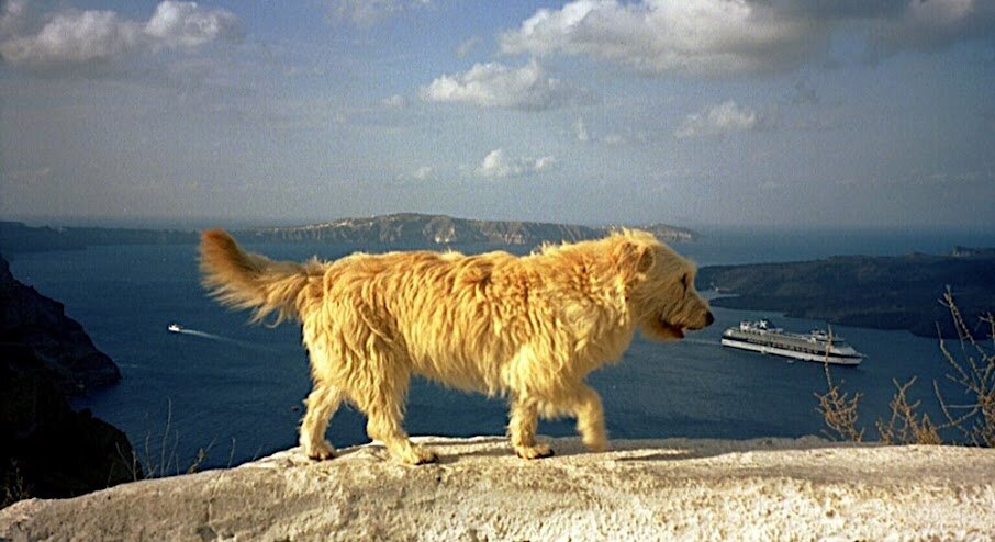 hotel_santorin's profile picture. Hotels in Santorini