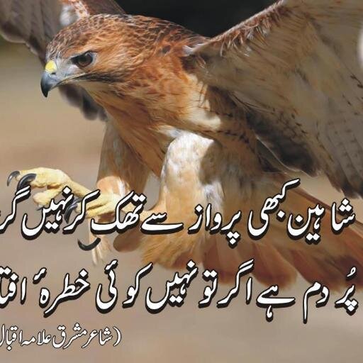 bilal