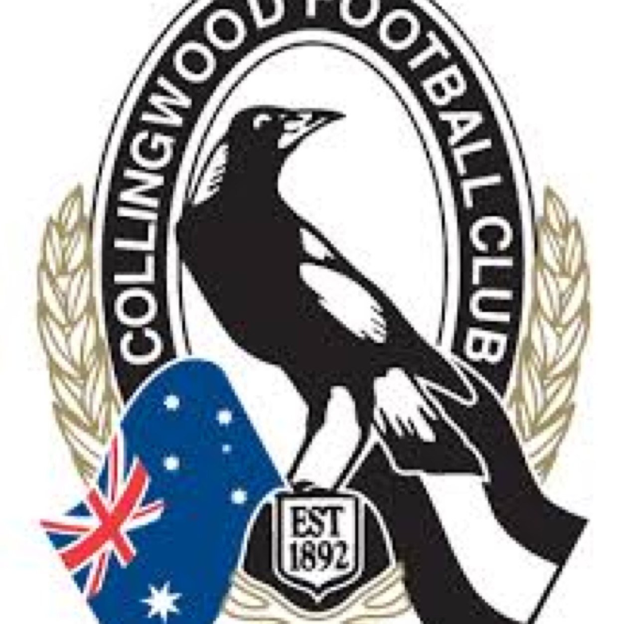 LilCheeky22's profile picture. I love collingwood so much i would die for them BIGGEST. COLLINGWOOD. FAN.MEMBER.OF.2014