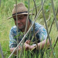 Dorian Fuller (@dqfuller) 's Twitter Profile Photo