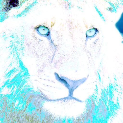Royal Guard Lionさんのプロフィール画像