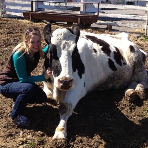 Miss Devon and Nittany Dog’s mom. ❤️ my cows, the dairy industry & all its people. Annapolis, Maryland is home. PSU & VT alumna. I live to love and laugh a lot.