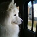 James LaPlante - @whitedogjeb - Twitter