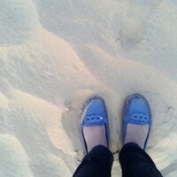Moeena (@moeenah) 's Twitter Profile