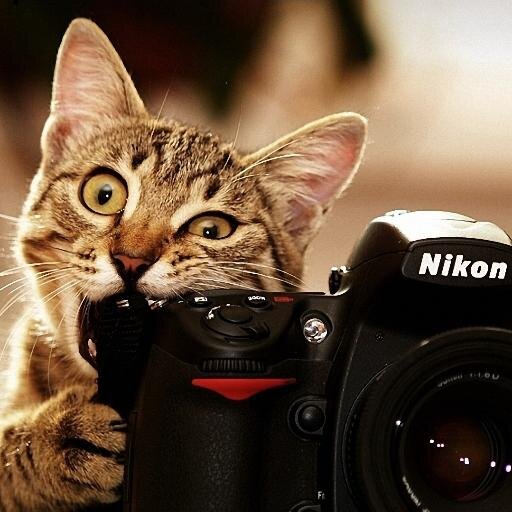 kamilkaminski's profile picture. 