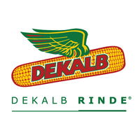 DEKALB Argentina (@dekalbargentina) 's Twitter Profile