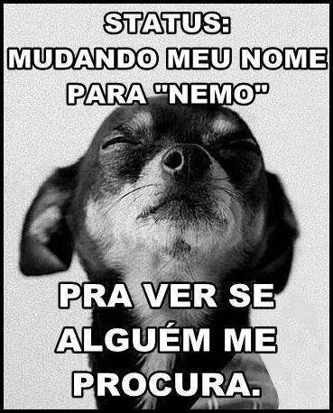 meu twitter ,meus twitters ,minha opiniao ,cale a boca  e vai se fuder