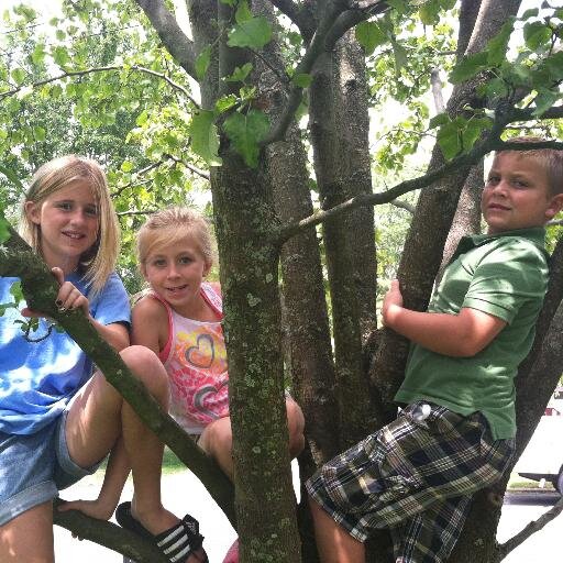 Child Study Team