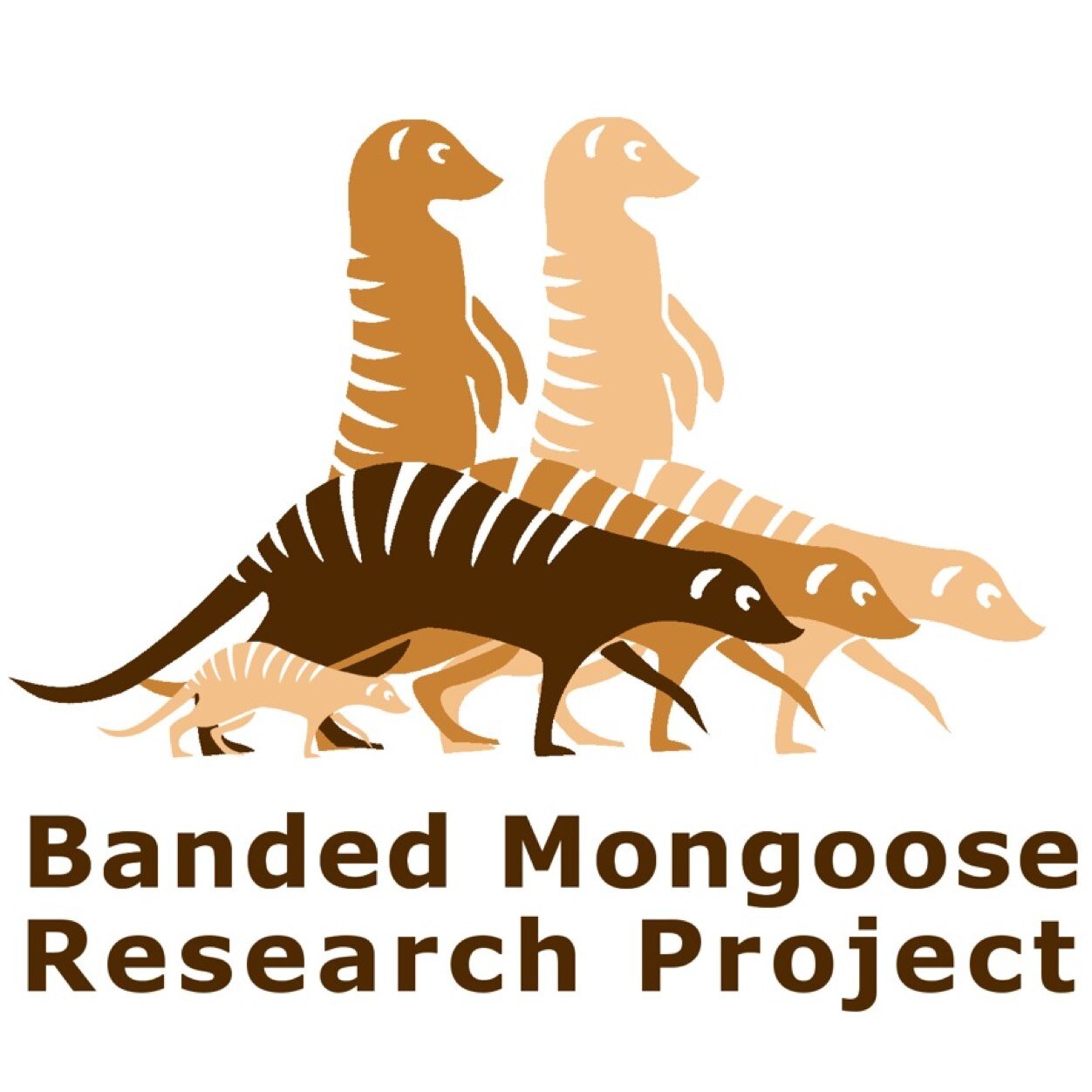 Mongoose Project