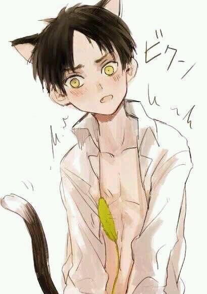 @CommanderDancho is my owner // Don't you hurt @NyanCorporal !  I'll scratch you..// 17  years old // [ RP18+] // Open RP