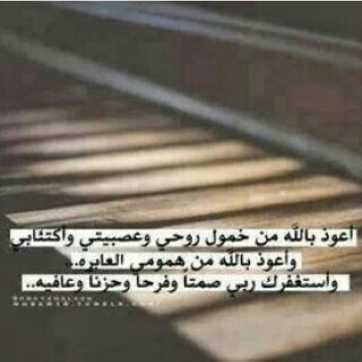 Hay:76b25752 Instagram:HWEAN