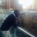 Dapo D. (@dapo_dd) Twitter profile photo