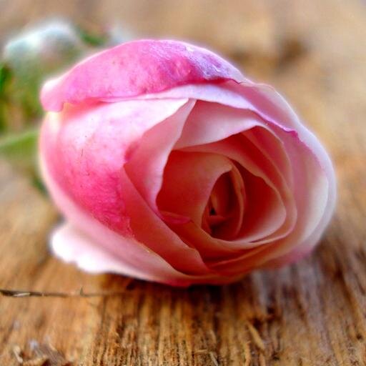I love my friends too much,,,I can do anything for them.