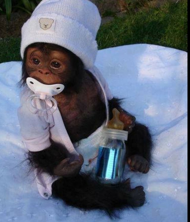 babaeva75's profile picture. 