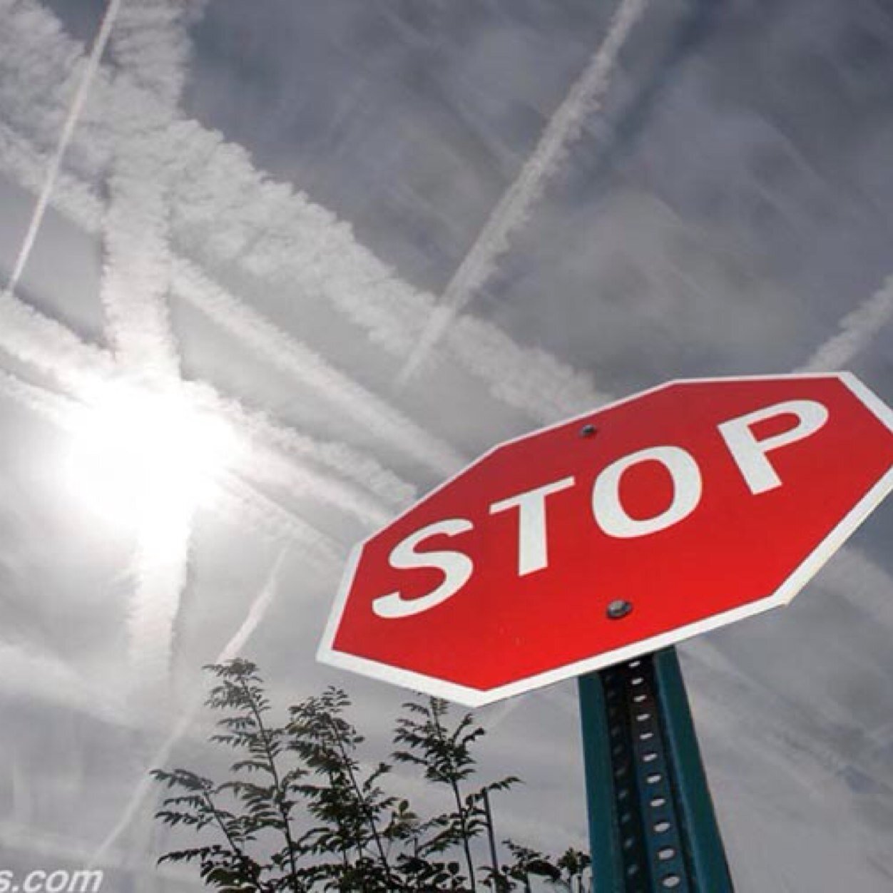 Image result for stop geo-engineering