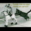 gorge lopez lopez - @gorgelopezlopez - Twitter