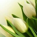 Saima Azeem - @saimaazeem2 - Twitter