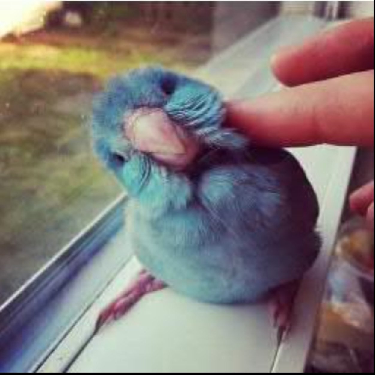 TwFansSpain's profile picture. 