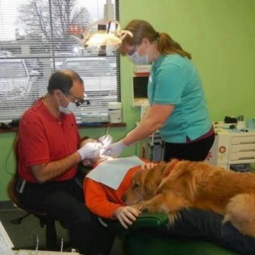 Hi. Im Dr.Mark. Im a dentist, and an Orthodontist. If you want well informed dental and oral care advice drop me a tweet.