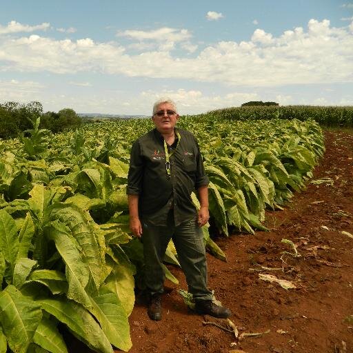 agroradio's profile picture. Periodista Agropecuario; Conductor de programa radial del agro; Director del Centro para el desarrollo del capital social local,asesor en agro negocios.