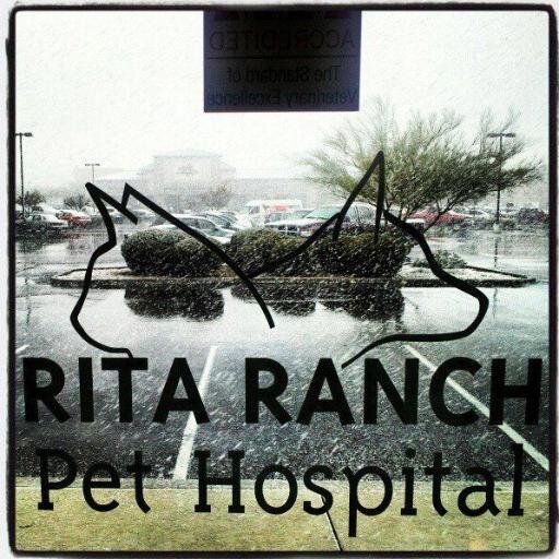 RitaRanchPetVet's profile picture. Our goal is to provide compassionate care in a clean & modern facility with the best that veterinary medicine has to offer.