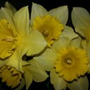 Fay Goodwin - @cuzigottabeme - Twitter