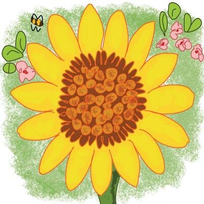 Information, support, awareness and sunflowers.  Tweets by Toni.