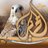 jawalalmahani's profile image